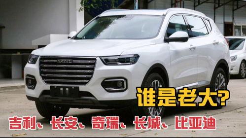 修理工讲国产车的视频,修理工深度解析与真实体验分享